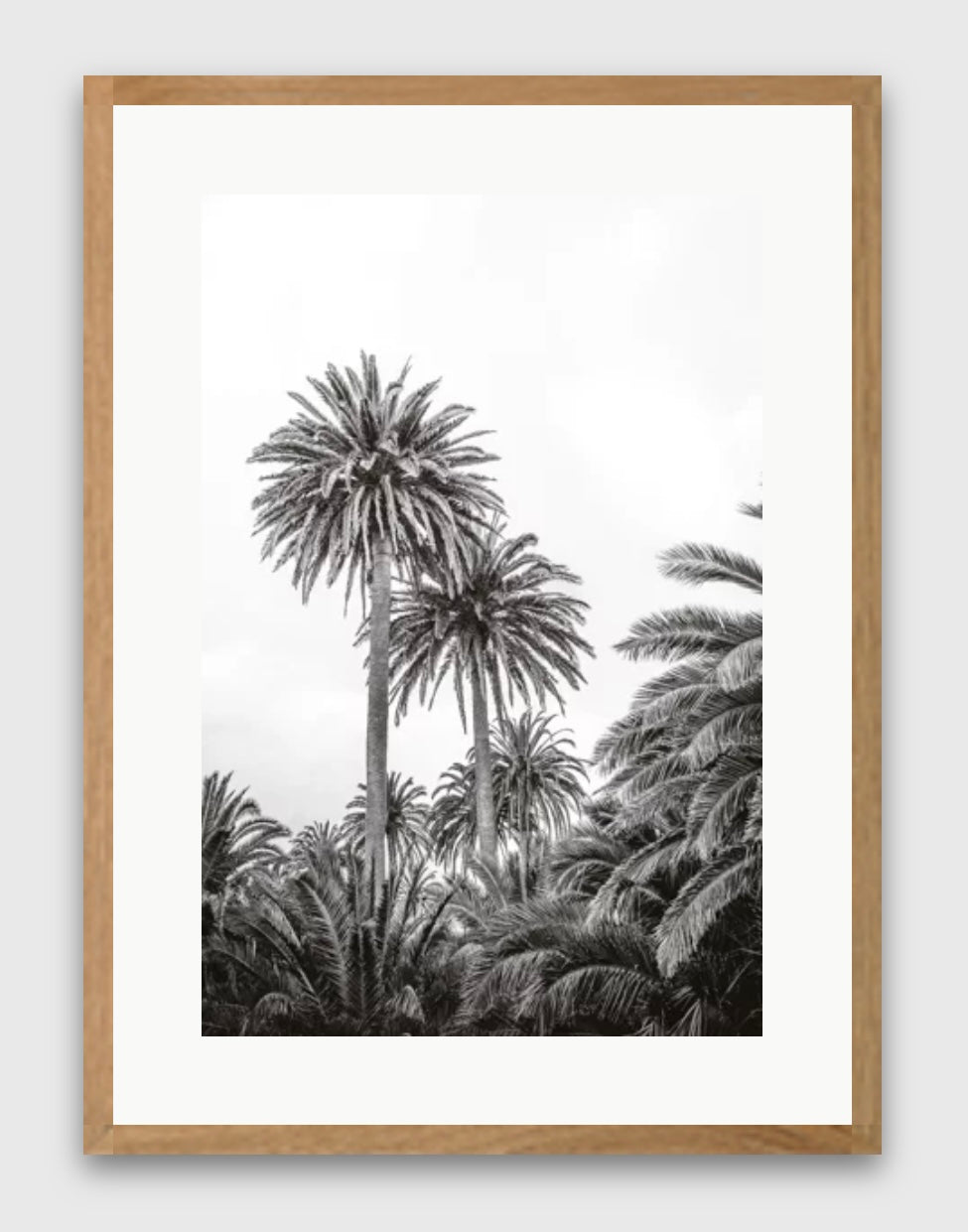 Tableau Black Palmer