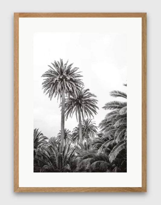 Tableau Black Palmer