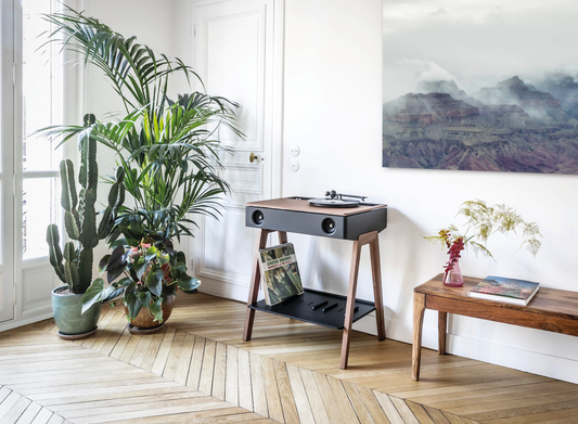 Enceinte Lx Platine en Noyer