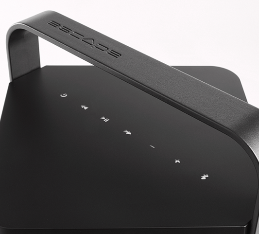 Enceinte Extérieur Bluetooth P6