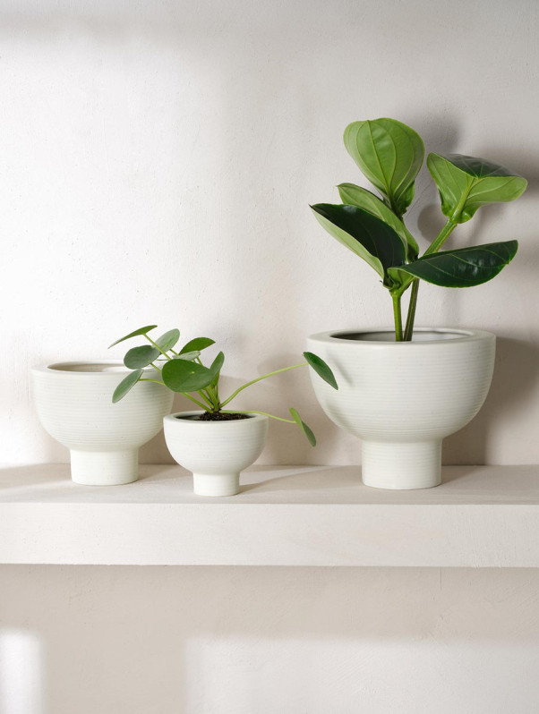 Midoro-cache pots